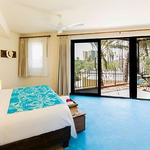 Suite con Cama King
